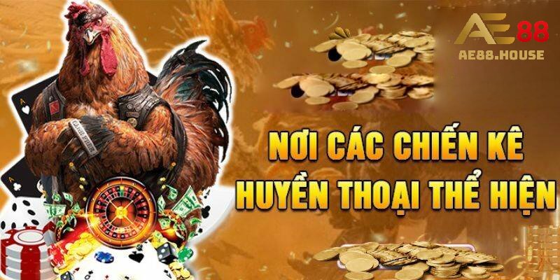 Đánh giá chi tiết về Sabong67 1 gioi thieu sabong67