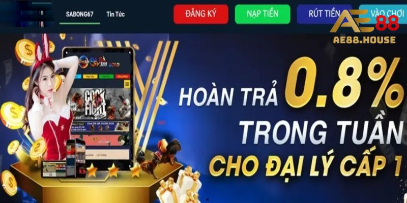 Đánh giá chi tiết về Sabong67 4 sabong67 danh gia hieu suat
