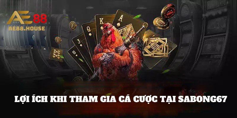 Đánh giá chi tiết về Sabong67 5 so sanh sabong67